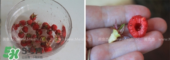 樹(shù)莓可以生吃嗎？樹(shù)莓怎么吃？