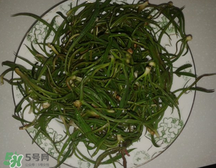 陽溝菜孕婦可以吃嗎？孕婦能吃陽溝菜嗎？