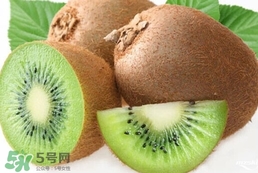 獼猴桃是奇異果嗎？獼猴桃是不是奇異果