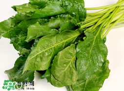 根達(dá)菜的營養(yǎng)價(jià)值 根達(dá)菜的功效與作用
