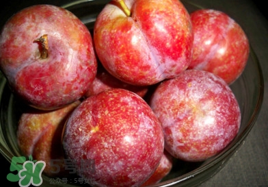 三華李什么時候上市？三華李什么時候成熟