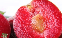 三華李是哪里的特產(chǎn)？三華李的產(chǎn)地是哪兒