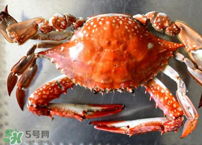 六月份有螃蟹嗎？六月份吃什么螃蟹？