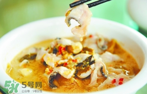 黑魚怎么切片？黑魚如何切魚片