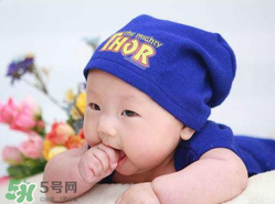 寶寶可以吃小龍蝦嗎？多大的寶寶可以吃小龍蝦呢？