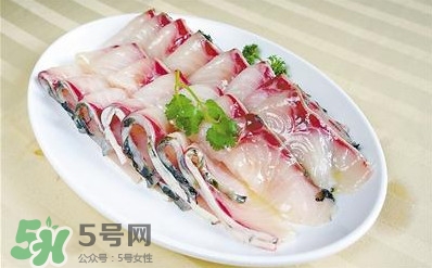 生魚是什么魚？生魚片是什么魚