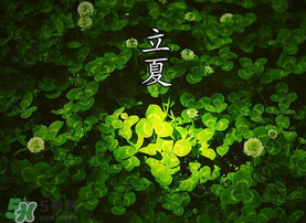 立夏吃什么水果？立夏吃什么水果好？