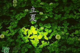 立夏和夏至有什么區(qū)別？立夏和夏至的區(qū)別