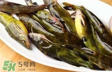 黃辣丁怎么殺？黃辣丁怎么處理