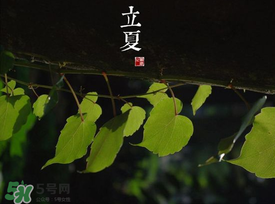 2017年立夏會下雨嗎？2017年立夏下雨好嗎？