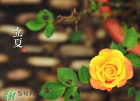 2017年立夏會下雨嗎？2017年立夏下雨好嗎？