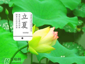 2017年立夏會下雨嗎？2017年立夏下雨好嗎？