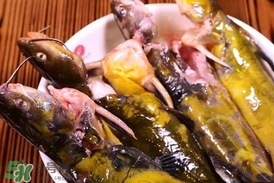 嘎魚孕婦能吃嗎？孕婦可以吃嘎魚嗎