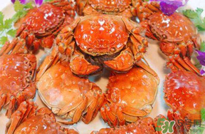 五月份有大閘蟹嗎？五月份的大閘蟹能吃嗎？