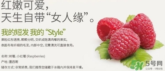 樹莓可以放冰箱嗎？樹莓可以保存幾天