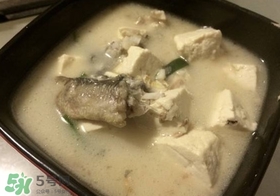 黑魚(yú)能和豆腐一起吃嗎？豆腐可以和黑魚(yú)一起吃嗎