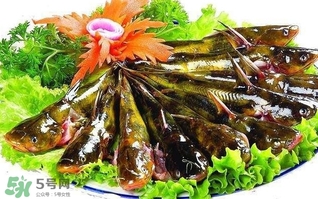 黃辣丁多少錢一斤？野生黃辣丁多少錢一斤