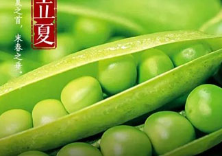 立夏吃什么好？立夏吃什么蔬菜？