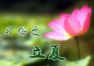 立夏和夏至有什么區(qū)別？立夏和夏至的區(qū)別