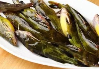 黃辣丁怎么殺？黃辣丁怎么處理