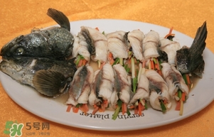 生魚是什么魚？生魚片是什么魚