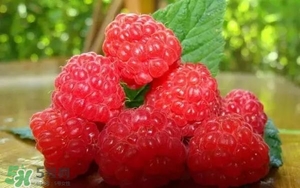 樹莓可以直接吃嗎？樹莓里的小籽能吃嗎？