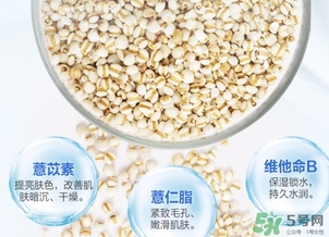 薏仁水可以天天敷嗎？薏仁水幾天敷一次？