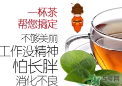 脂流茶成分 脂流茶可以減肥嗎？