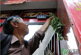 端午節(jié)為什么掛艾草？端午節(jié)掛艾草的由來