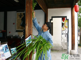 端午節(jié)門上掛的那個草叫什么？端午節(jié)掛門上的叫什么？