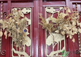 端午節(jié)門上掛的那個草叫什么？端午節(jié)掛門上的叫什么？