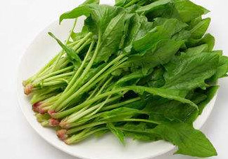 黃辣丁能和菠菜同食不？菠菜可以和黃辣丁一起吃嗎