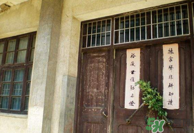 端午節(jié)插門(mén)上的是什么？端午節(jié)為什么要插艾草？