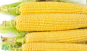 妊娠糖尿病可以吃玉米嗎？妊娠糖尿病能吃玉米嗎