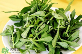 養(yǎng)心菜能生吃嗎？養(yǎng)心菜怎么吃？