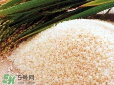 包粽子的米要泡多久？包粽子的米是什么米？