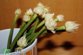 蒜薹可以放冰箱嗎？蒜薹可以冷凍嗎