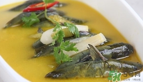 黃辣丁能和菠菜同食不？菠菜可以和黃辣丁一起吃嗎