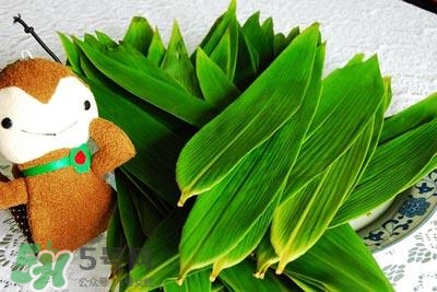 包粽子的葉子叫什么？包粽子的葉子怎么處理？