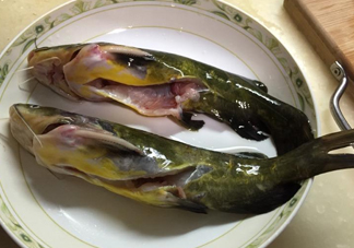 黃辣丁一斤多少錢？黃辣丁價(jià)格