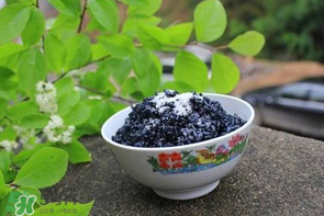 烏飯用什么葉子煮？烏飯用什么葉子圖片？