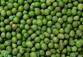 青豆可以打豆?jié){嗎？青豆能做豆?jié){嗎？