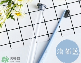 amortals爾木萄牙刷怎么樣？amortals爾木萄牙刷多少錢？