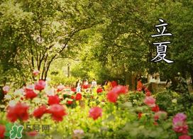 ?立夏是夏天嗎？?立夏是夏天的開始嗎？