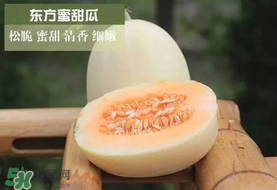 甜瓜可以帶上飛機(jī)嗎？坐飛機(jī)可以帶香瓜嗎？