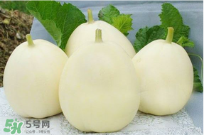 甜瓜可以帶上飛機(jī)嗎？坐飛機(jī)可以帶香瓜嗎？