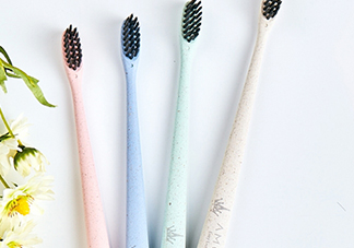 amortals爾木萄牙刷怎么樣？amortals爾木萄牙刷多少錢？