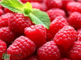 樹莓可以泡水喝嗎？樹莓泡水喝的禁忌