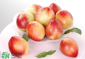 油桃什么時(shí)候成熟？油桃什么季節(jié)成熟