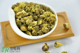 立夏喝菊花好嗎？立夏能吃苦菊嗎？